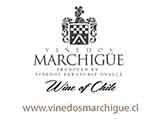 Logo Viñedos Marchigüe