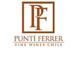 Logo Punti Ferrer